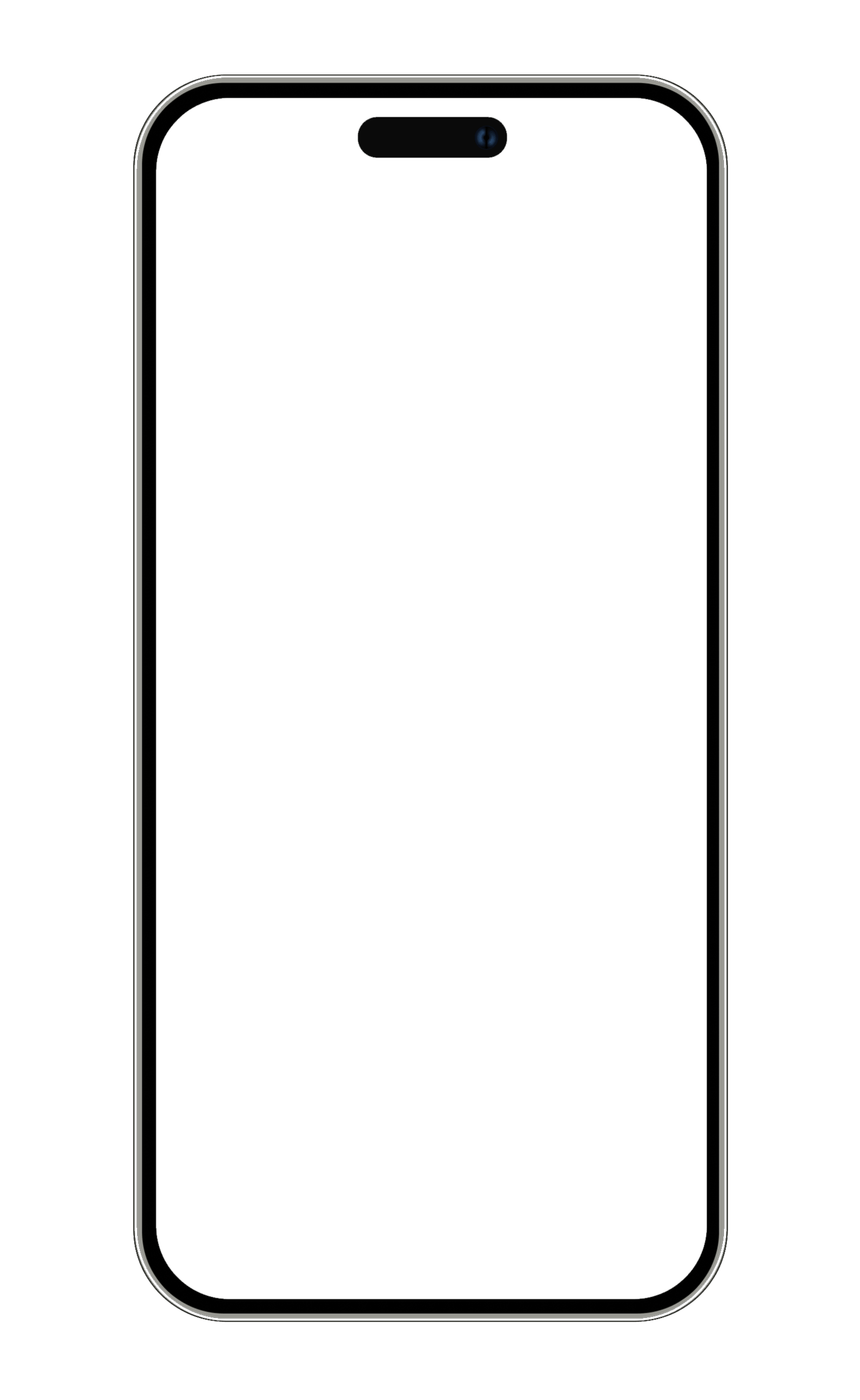 IPHONE OVERLAY