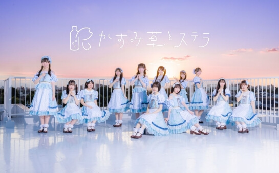 かすみ草とステラ